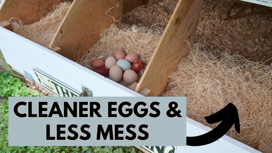 Chicken Nesting Pads -- Are they worth it?